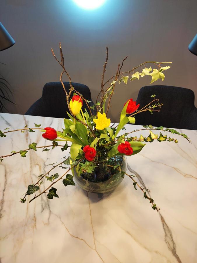 Nino Luxury Apartment Zagreb Dış mekan fotoğraf